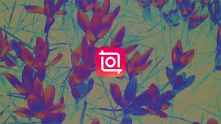 Get more likes for your videos with stylish filters of InShot screenshot 3