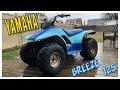 Yamaha Breeze 125 / YFA125 walk around.