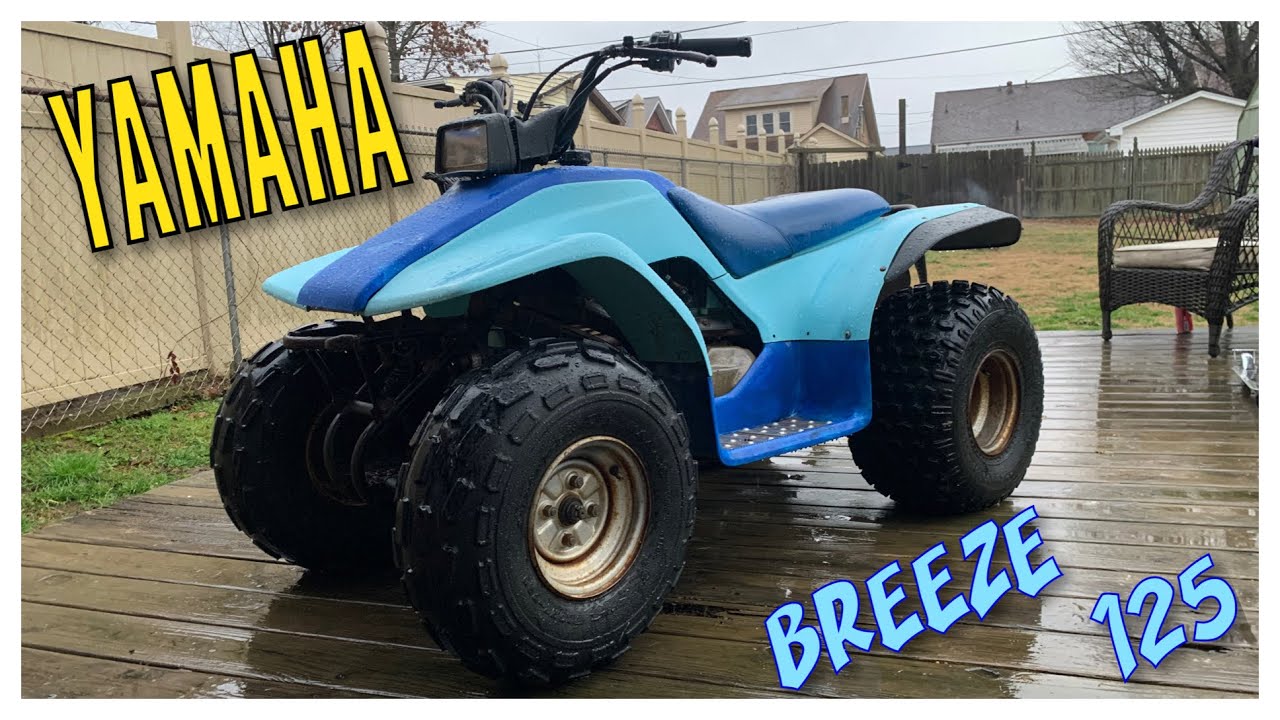 ヤマハ BREEZE ブリーズ 中古 不動車 ヤマハ BREEZE 125 ATV バギー 検）yf200 yamaha ブリーズ (四輪バギー