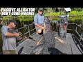 HUNTING A MASSIVE GATOR | EVERYTHING WENT WRONG THEN THIS HAPPENED!