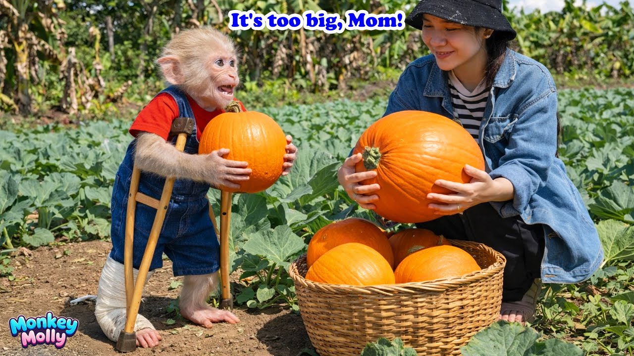 Monkey Molly enjoyed a week full of energy and precious moments with her mom