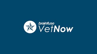 Brainfuse VetNOW