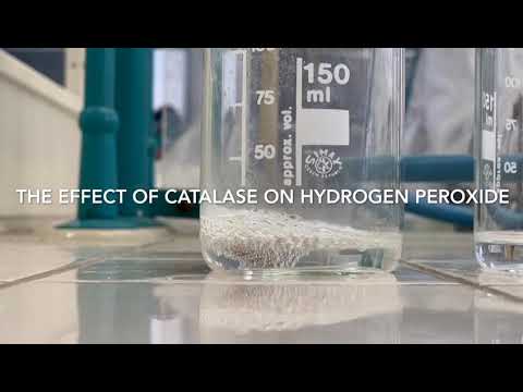 Video: Il perossido di idrogeno è una catalasi?
