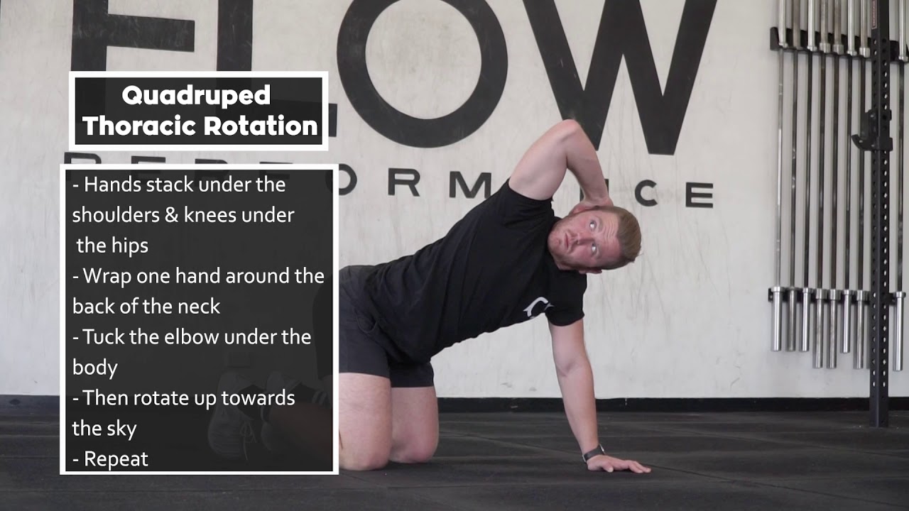 Quadruped Thoracic Rotation - YouTube