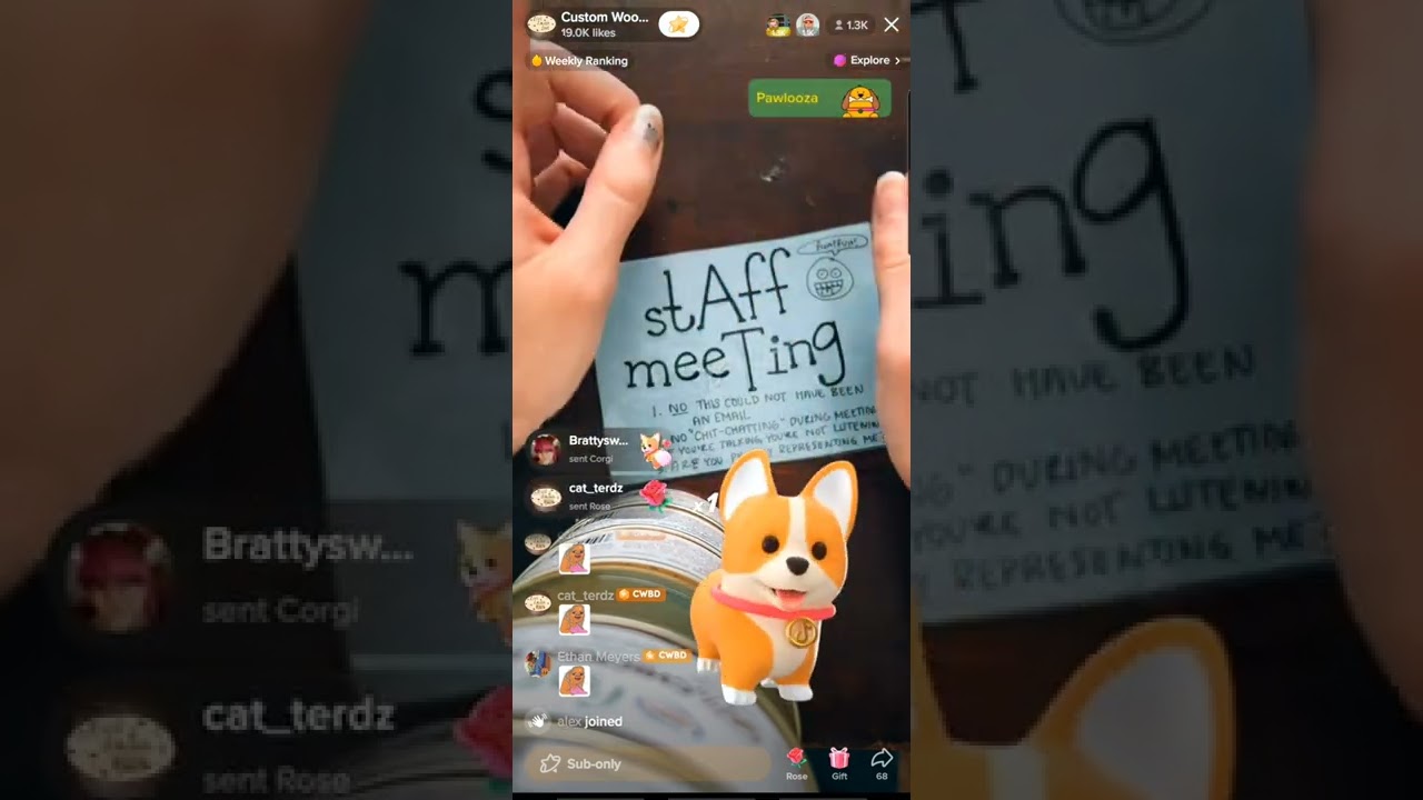 Custom Wood Burning TikTok Barbara Wednesday, August 24, 2022 100pm Live (liv) Show YouTube