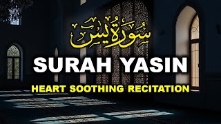 Surah Yasin - Beautiful Quran Recitation
