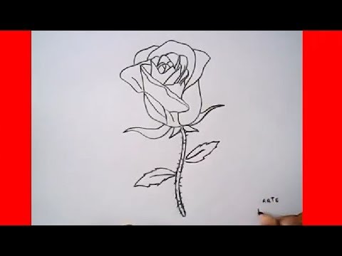 Como dibujar una rosa? (NIVEL: medio) | HD - thptnganamst.edu.vn