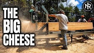 Information This Massive Pine Sat a Year | Here's What the Sawmill Gave Us Update