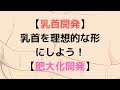 【乳首開発】乳首を理想的な形にする方法【肥大化開発】
