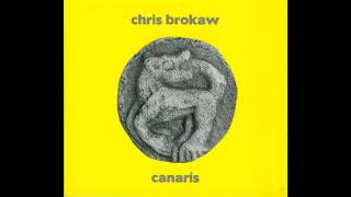 Chris Brokaw - Drink the Poetry of the Celtic Disciple (Vlad Tepes cover)