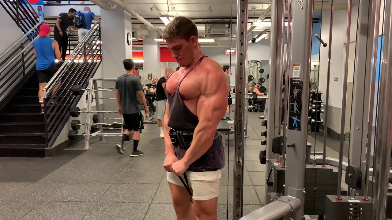 Front Raises (shoulder training)
