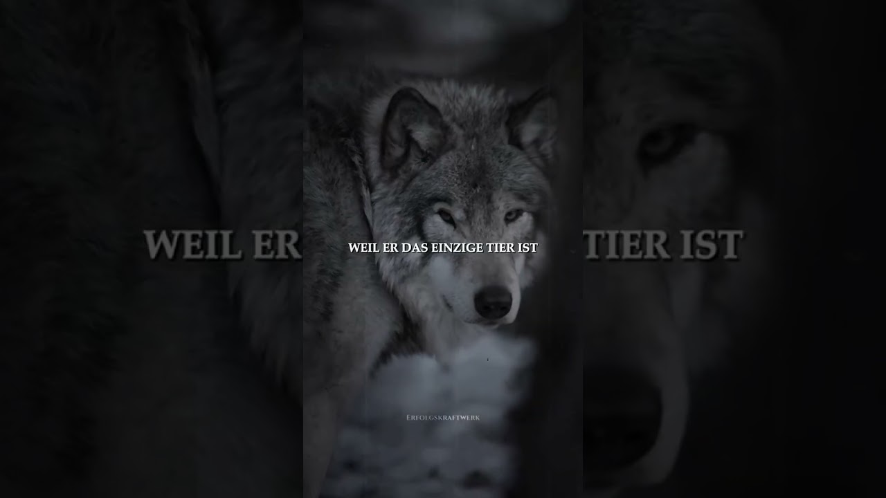 preview_player