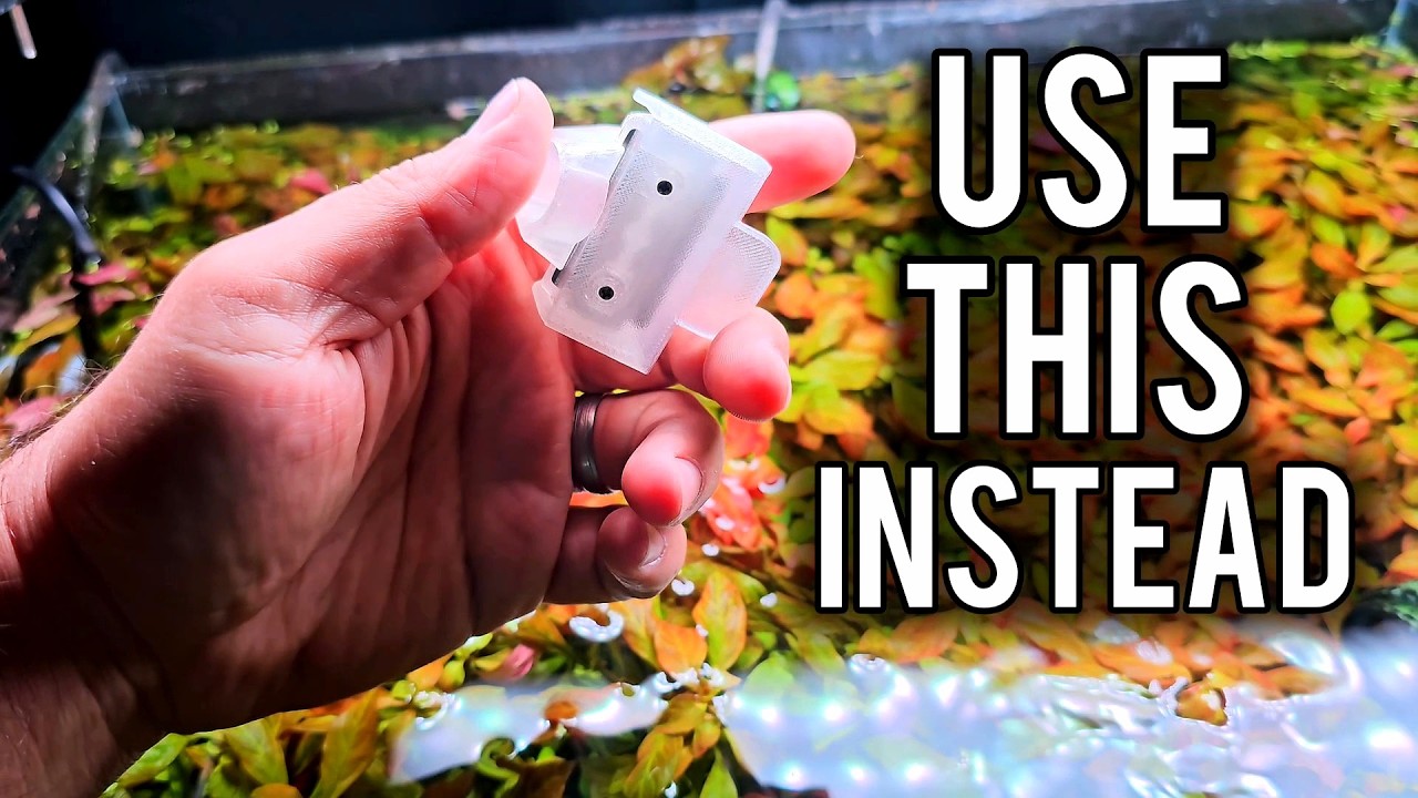 Stop Doing THIS or Your Aquarium Will Crash