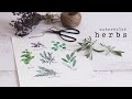 How To Paint Watercolor Herbs | Simple Beginner Tutorial