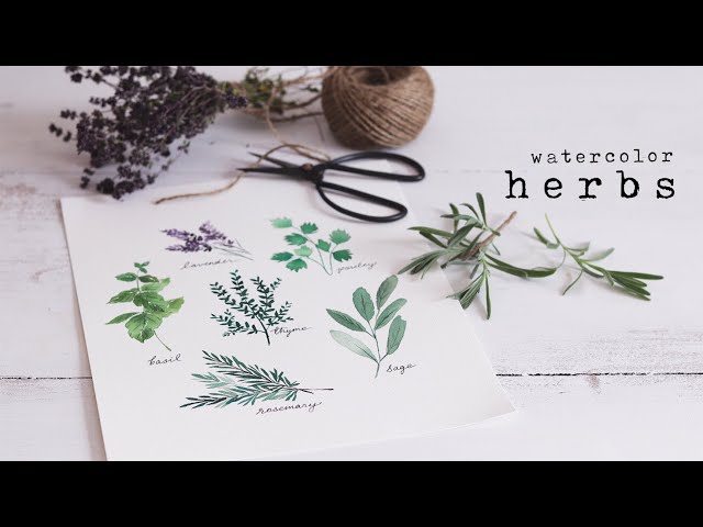 How To Paint Watercolor Herbs | Simple Beginner Tutorial