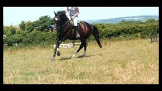 flatwork 26th June  [HQ pics]