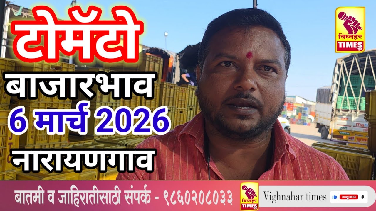 नारायणगाव टोमॅटो मार्केट l दिनांक 6 मार्च 2026 रोजी पहा काय मिळाला बाजारभाव ❓ 