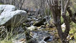 Serra da Estrela, de Manteigas à Torre, Abril 2015