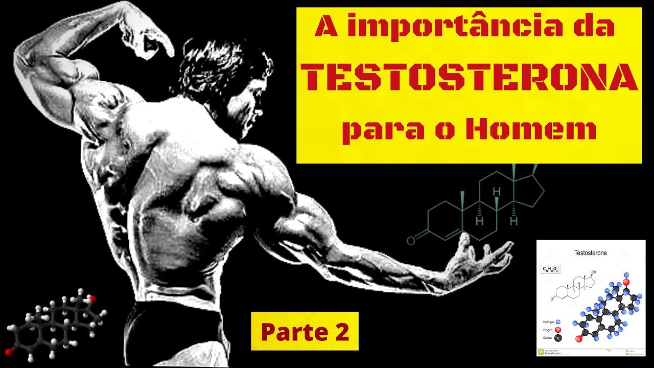 A Importância da TESTOSTERONA para o Homem parte 2 YouTube A Importância da TESTOSTERONA para o Homem parte 2 YouTube