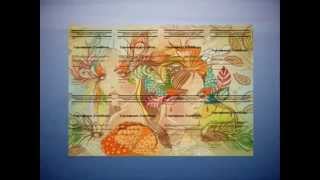 rolik pro lashartuniversity rolik pro lashartuniversity