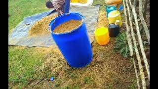 how to make silage using dry crushed maize stalks