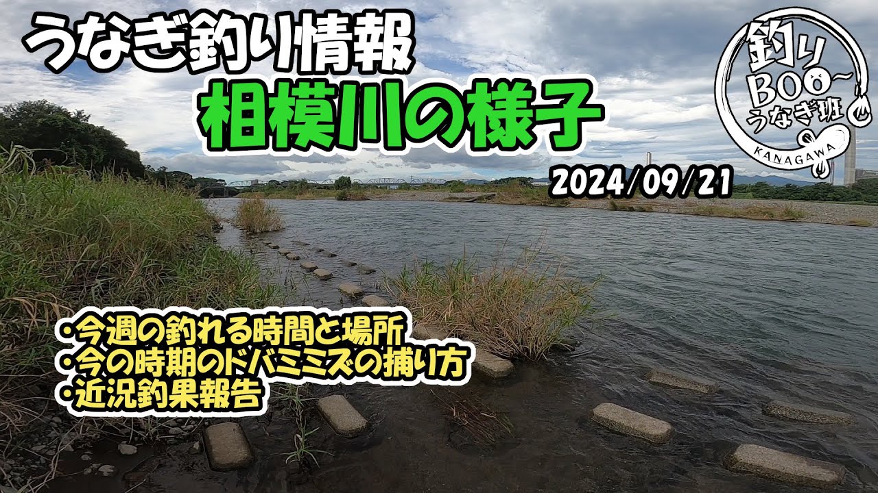 うなぎ釣り情報。相模川の様子2024年9月21日 - YouTube