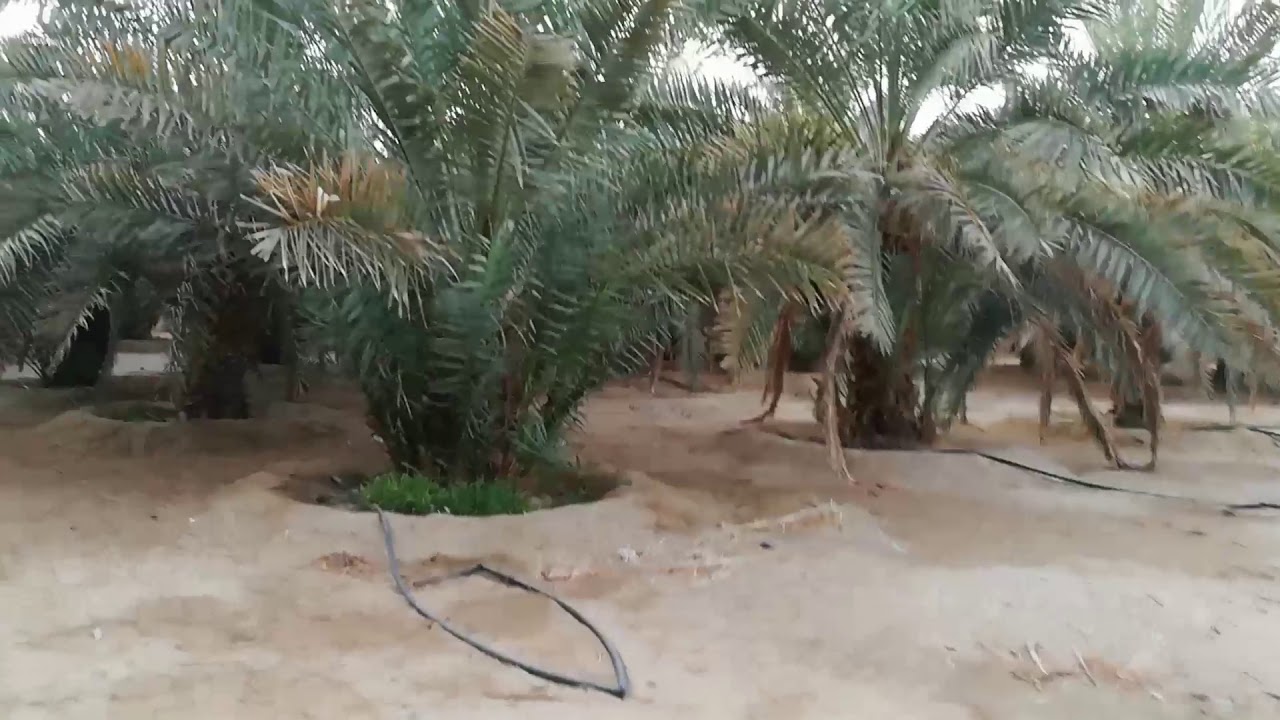 منطقة مر الظهران شمال مكة المكرمة