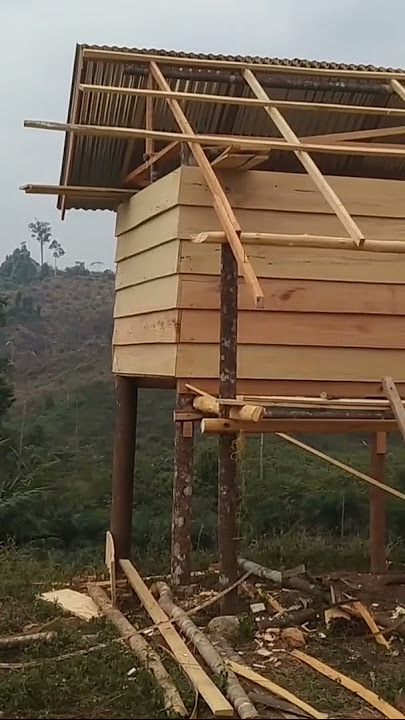 BIKIN PONDOK DI PERKEBUNAN KELAPA SAWIT#shorts #petani