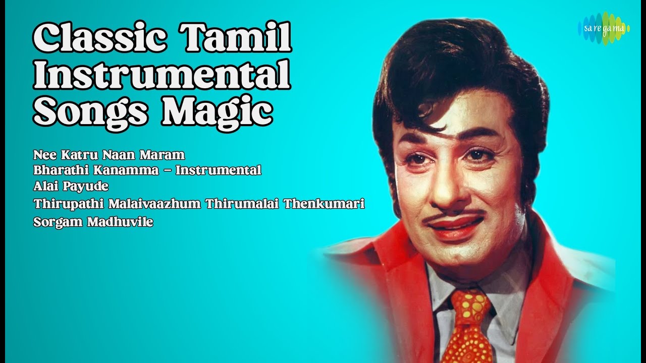 Tamil Instrumental Classic Tamil Instrumental Songs Magic | L. Ramesh | Nee Katru Naan ...