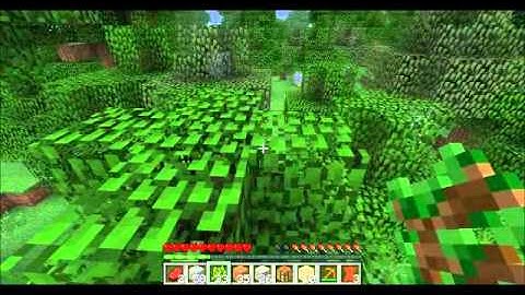 Minecraft 1.3.1 Survival part 2 : Mad guys go mining !