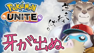 【ポケモンユナイト】牙が出ぬソロランク（1500～）【Vtuber/ダン坊】