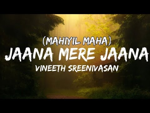 Jaana Mere Jaana  Mahiyil Maha  Omar Lulu Vineeth Sreenivasan  Lyrics Ajmal Jumana Khan