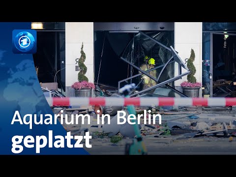 Groß-Aquarium "Aqua-Dom" in Berliner Hotel geplatzt