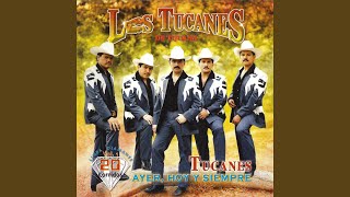 Video-Miniaturansicht von „Los Tucanes de Tijuana - El Jabali“