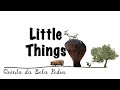 Bela Pedra, my Portuguese Farm: Part 46 (Little Things)