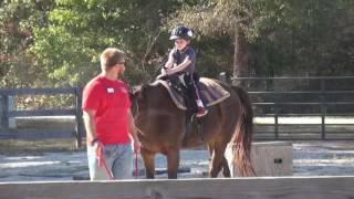 Chief Camper - Miss Lynn