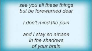 Danzig - I Don't Mind The Pain Lyrics