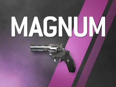 .44 Magnum - Modern Warfare 2 Multiplayer Weapon Guide