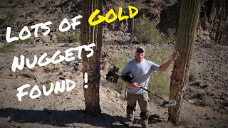 Lots Of Gold Nuggets Found In Western Arizona Prospecting Metal Detecting With Minelab