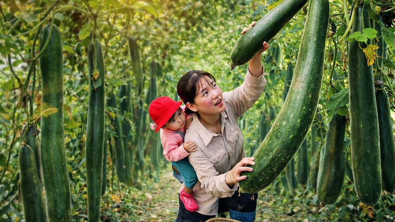 Мы с дочерью собираем огромные тыквы, чтобы заработать на жизнь, и это наш первый по-настоящему вкус