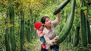 Download Lagu Harvesting giant pumpkins with my daughter to earn a living, our first truly delicious meal. MP3