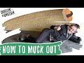 How to muck out a wood pellet horse bed! | Shadow the Unicorn
