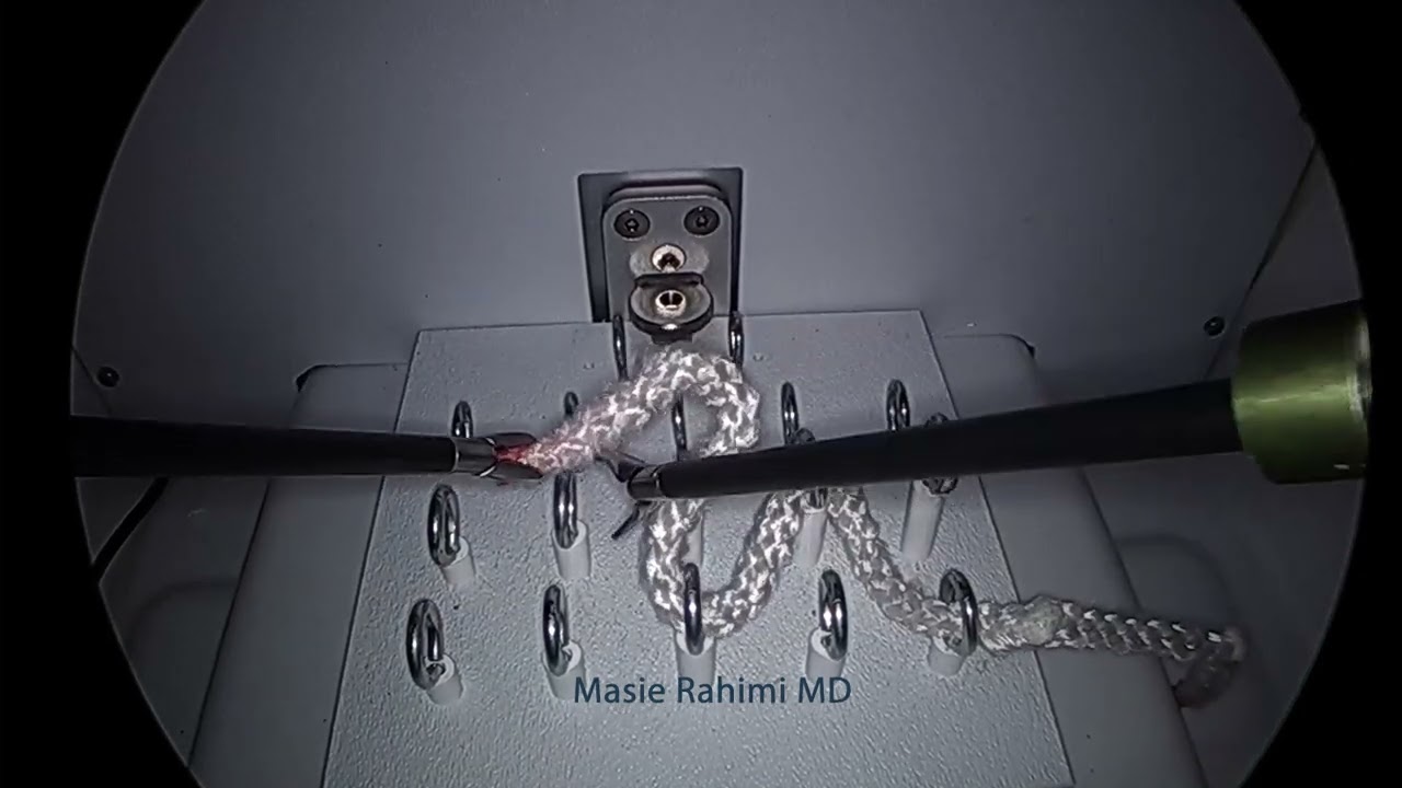 Laparoscopic Advanced Skills: ZigZag Loop