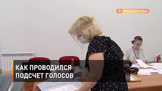 Как проводился подсчет голосов