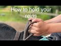 How to hold your reins correctly when riding a horse  karen badrick  horse tips