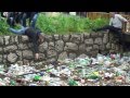 Rescatan A Un Perro De Un Río 