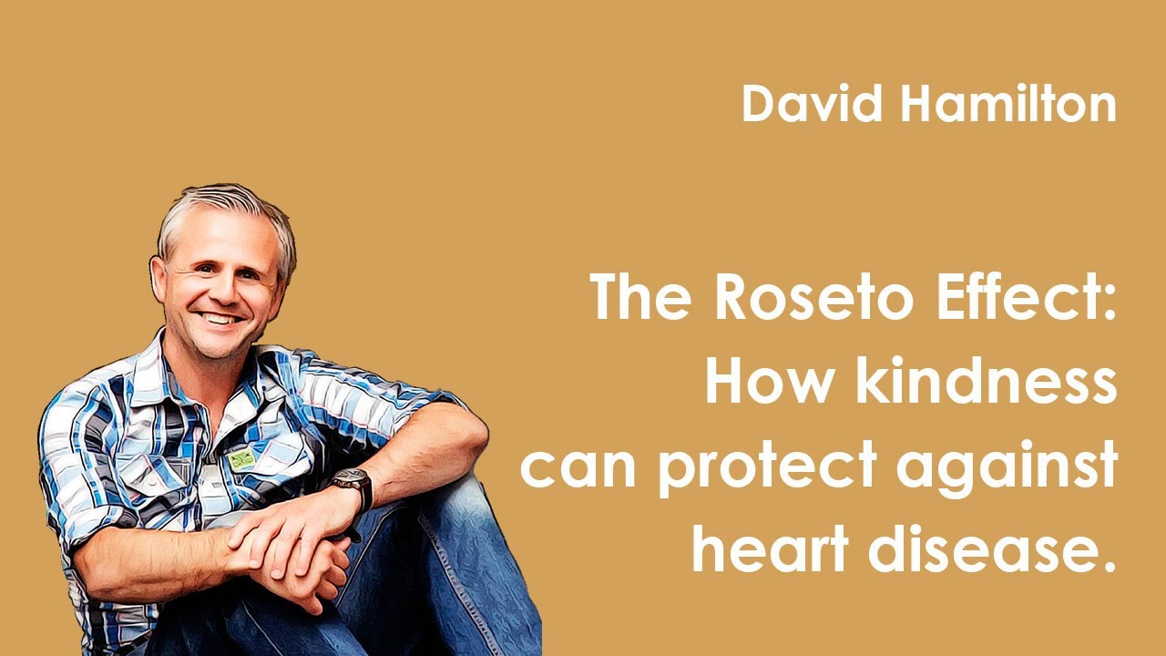 Dr David Hamilton The Roseto Effect How kindness can protect against