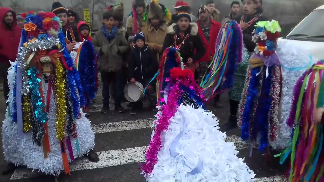 Capra Mare Budesti 2017