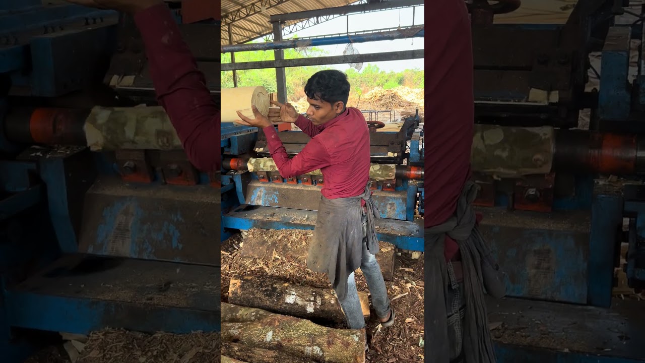 Wood debarking working big machine part 97