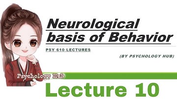 Psy610 lecture 10 // Neurological basis of behavior Lecture 10 // Psychology Hub